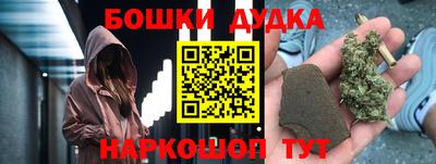 МДПВ Партизанск