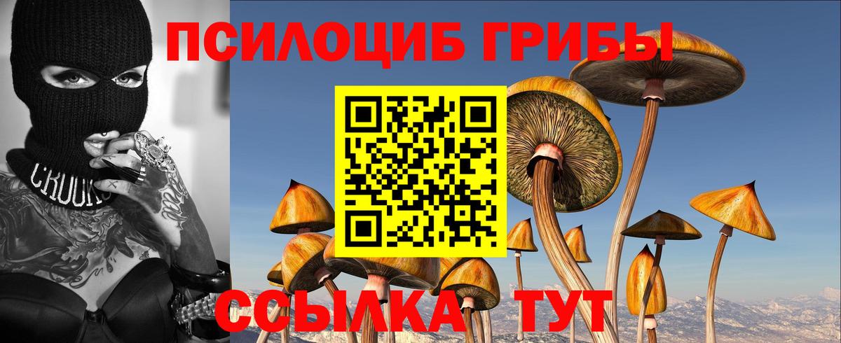 Псилоцибиновые грибы Psilocybine cubensis  Галлюциногенные грибы мухоморы  как найти наркотики  Ржев  Вход с VPN 